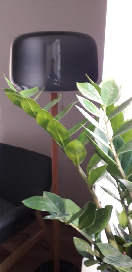 Appartamento The Fennef Bourglinster Esterno foto