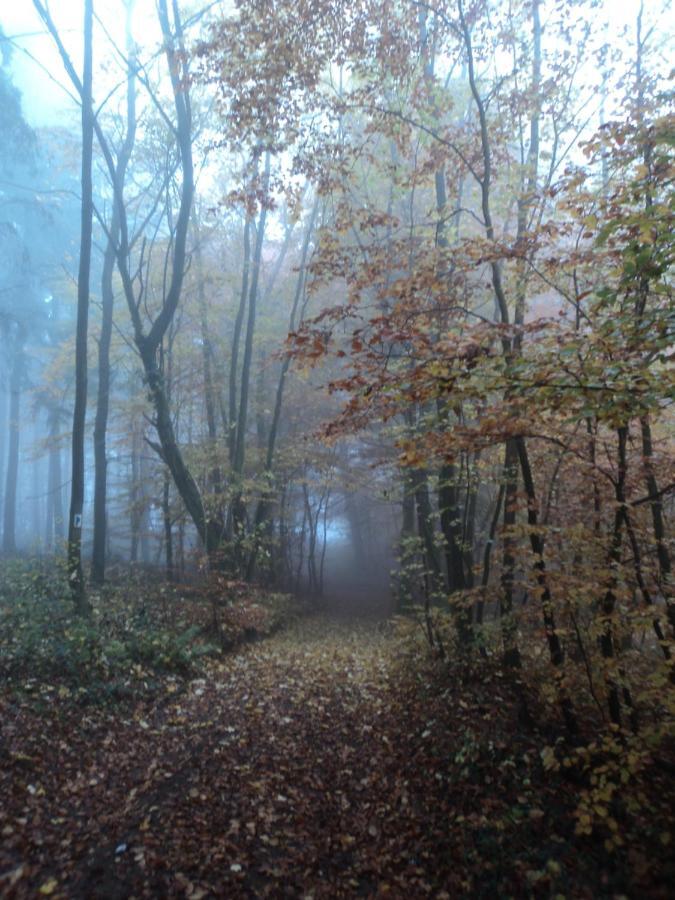 Appartamento The Fennef Bourglinster Esterno foto